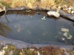image10.jpeg