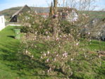 IMG_8601.JPG IMG_8601.JPG