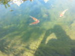 20150419_115800.jpg