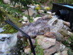 20150418_195418.jpg 20150418_195418.jpg