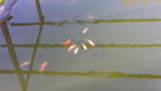 1429546632652.jpg 1429546632652.jpg