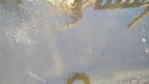 20150421_185309.jpg 20150421_185309.jpg