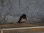 Sunny oder IMG_1363.JPG