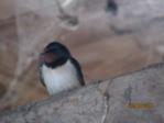 Sunny oder IMG_1364.JPG
