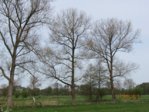 Wetter 9,32 N IMG_1857.JPG