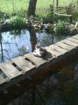 DSC_0010.JPG DSC_0010.JPG