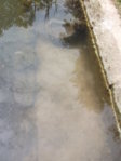 DSCF2386.JPG