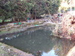 DSCF0934.JPG