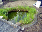 20150504_192324.jpg 20150504_192324.jpg