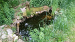 teich oben.jpg teich oben.jpg