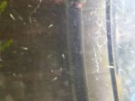 20150531_122057.jpg 20150531_122057.jpg