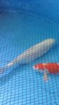 20150530_114203.jpg