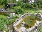 Pool Ablauf.jpg