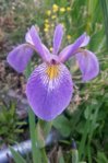 20150608_204219.jpg 20150608_204219.jpg