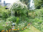 Garten14.6.15 003.JPG