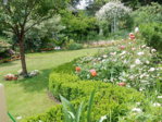 Garten14.6.15 010.JPG