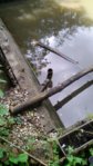 IMG-20150623-WA0000.jpg IMG-20150623-WA0000.jpg