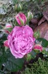 20150627_122354.jpg