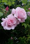 20150627_122312.jpg