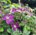 20150627_122320.jpg
