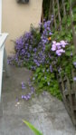 kleine Terrasse.JPG