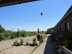 Schwalben  Jagd IMG_3880.JPG