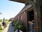 Schwalben  Jagd IMG_3878.JPG