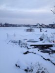 2015.01.30 008.jpg 2015.01.30 008.jpg