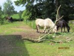 Hof IMG_4455.JPG
