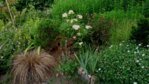 20150705_180152.jpg