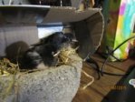 Findi IMG_4592.JPG
