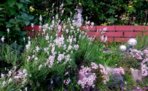 20150710_193304.jpg