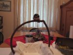 Findi IMG_4692.JPG