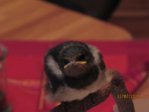 Findi IMG_4693.JPG