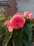 IMG_20150715_185449.jpg
