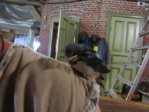 Findi IMG_4865.JPG