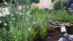20150716_181714.jpg