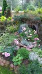 20150712_093428.jpg