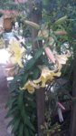 20150719_111639.jpg