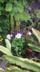 20150719_131052.jpg