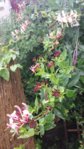 20150719_131426.jpg