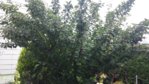 20150719_131613.jpg