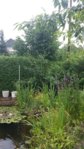 20150719_131625.jpg