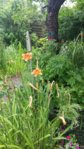 20150719_131632.jpg