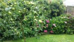 20150719_131646.jpg