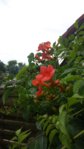 20150719_131809.jpg