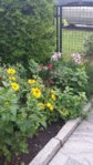 20150719_131855.jpg