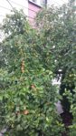 20150719_131904.jpg