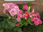 DSCN0549.JPG