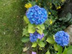 DSCN0558.JPG